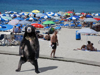 Un oso en la playa,...