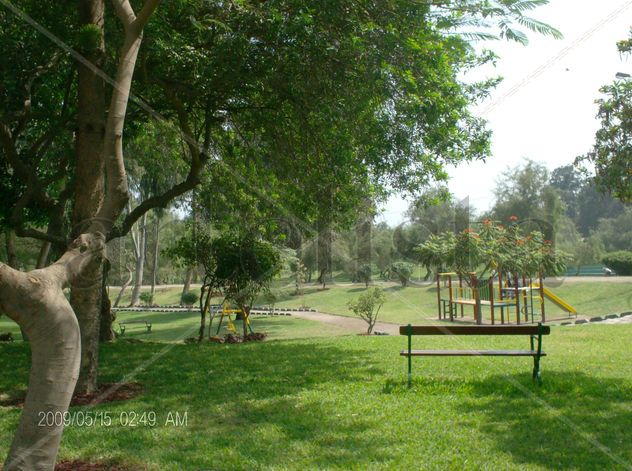 BANCA EN EL PARQUE