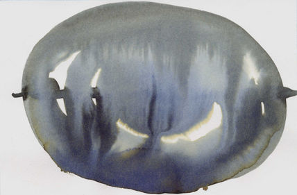 Fruta de cristal