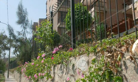 JARDINERAS CON HIEDRAS