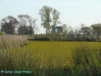 Recodo del arroyo