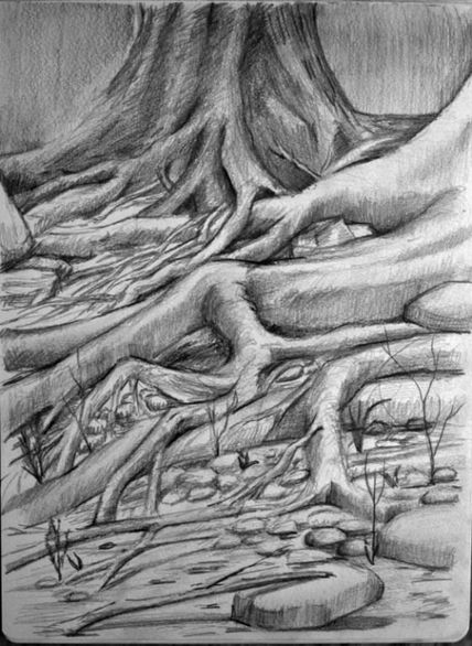 arboles que se...
