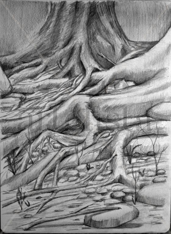 arboles que se tocan II
