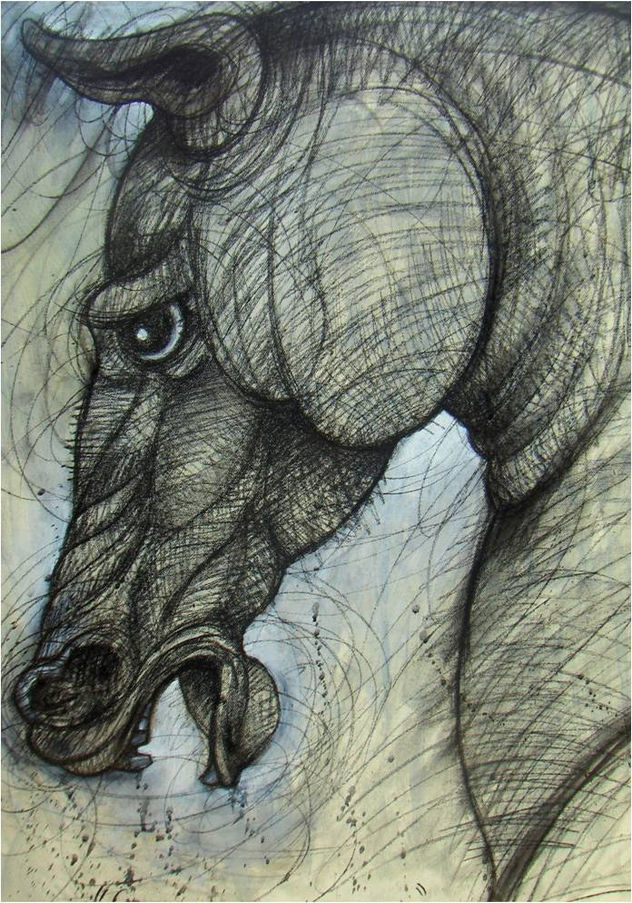 De la Serie Equinos Arrechos “Equino en Gris