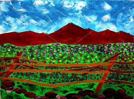 CAMPO CON FLORES