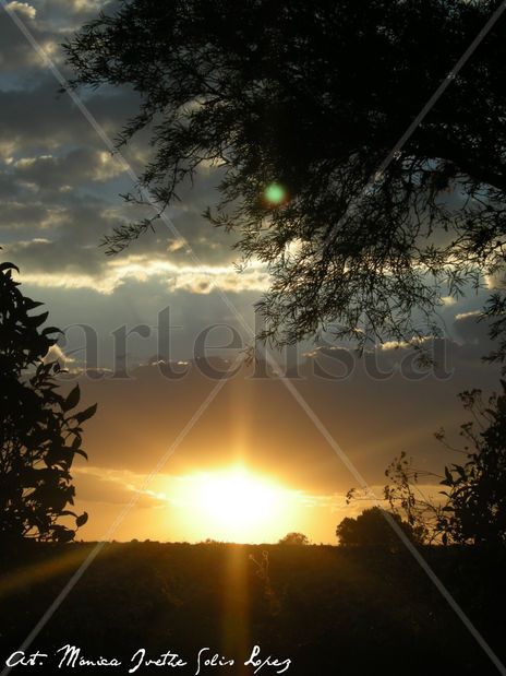 Magic Sunset