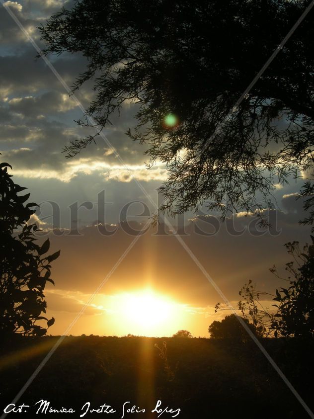 Magic Sunset