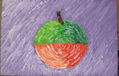 NARANJA Y LIMÓN