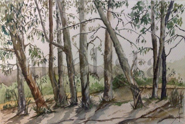 Eucaliptos Watercolour Paper Landscaping