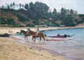 Día de pesca en Horcón