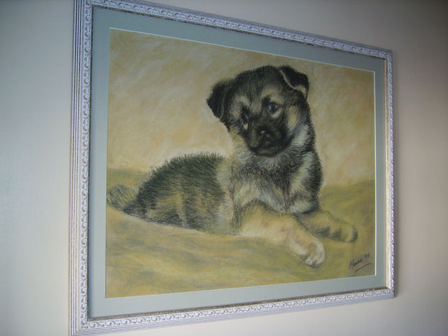 CACHORRITO