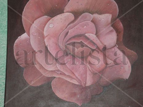 Rosa