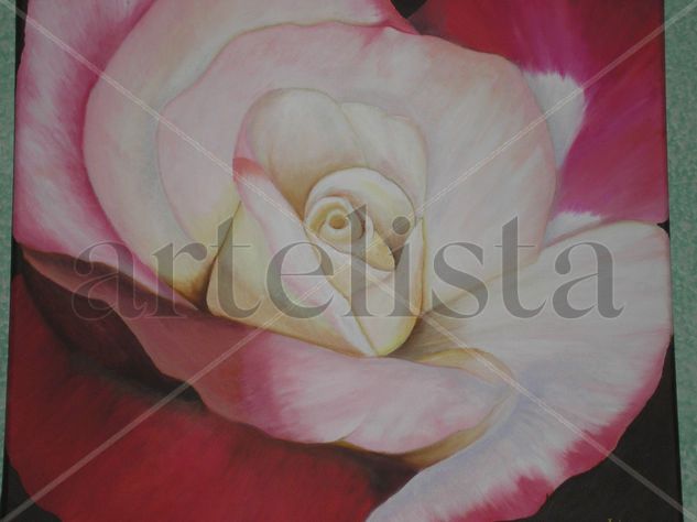 ROSA Acrylic Panel Others