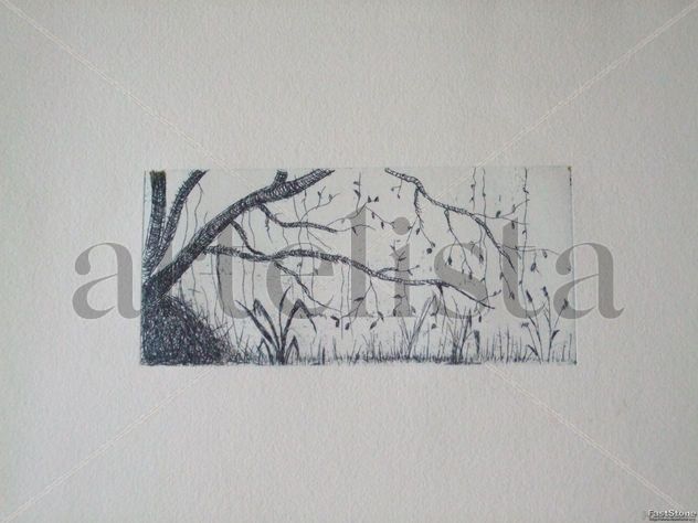 In natura novitatis
