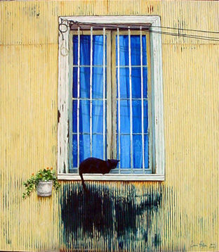 Gato de Valparaíso Oil Canvas