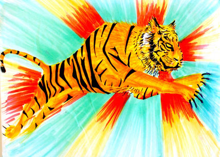 Tigre / Tiger