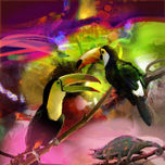 AQUA & CARIBBEAN thumbnail 2