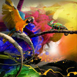 AQUA & CARIBBEAN thumbnail 1