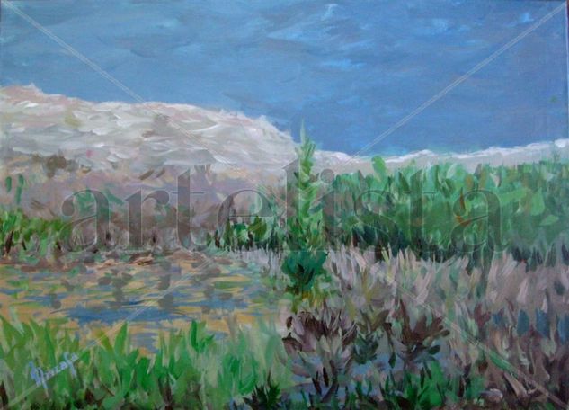 Horizonte serrano Acrylic Canvas Landscaping