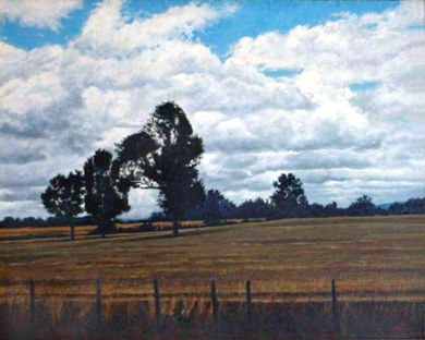 Paisaje de Temuco Oil Canvas