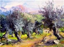 Oliveras - 1