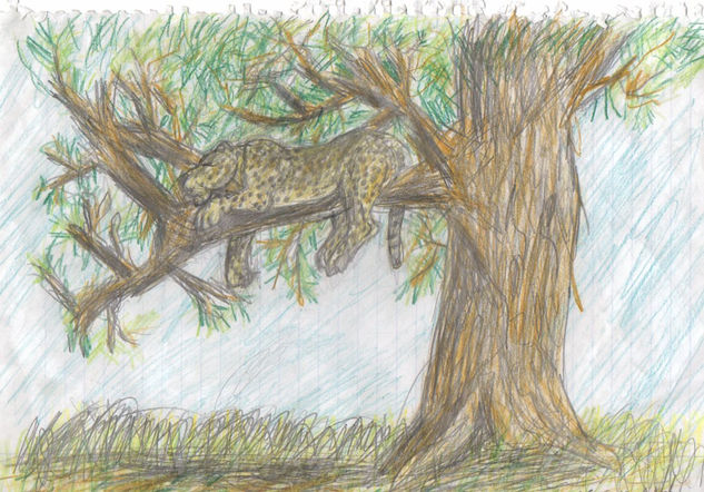 Leopardo en la acacia Pencil