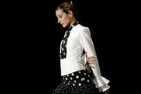 Flamenco V