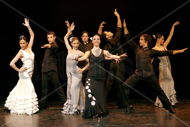 Flamenco VI