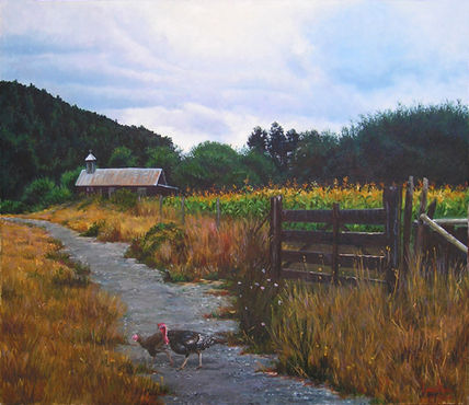 Paisaje de Curarrehue