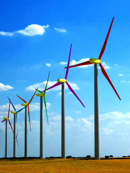 Flores de viento