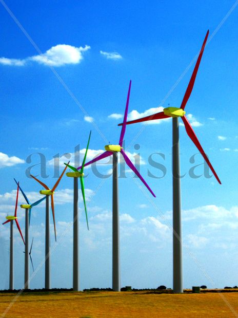 Flores de viento