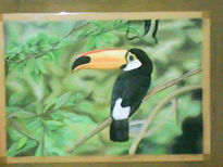 Tucan