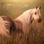 CABALLOS thumbnail 1