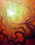 RAICES DE OCASO