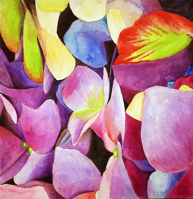 hortensia morada