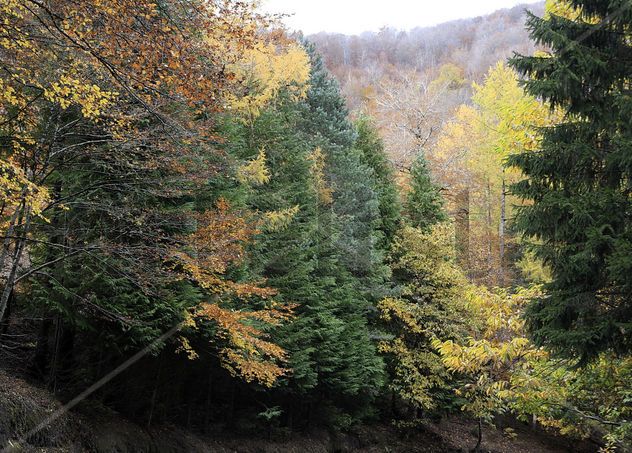 Otoño