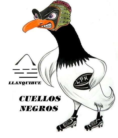 Cuellos negros Charcoal