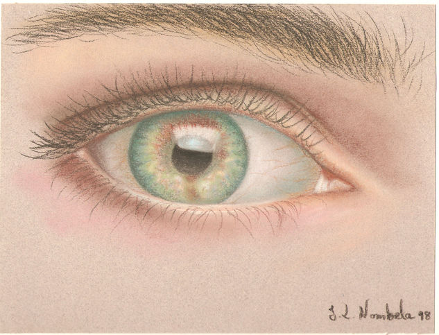 ojo estudio Pastel Papel Retrato