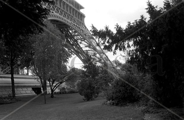 Pisando fuerte Arquitectura e interiorismo Blanco y Negro (Digital)