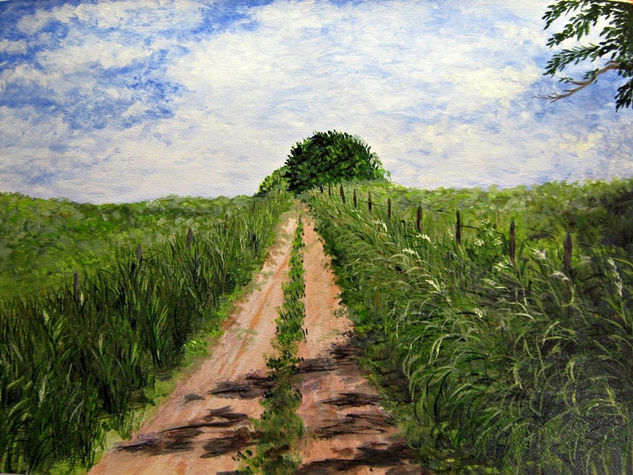 OTRO CAMINO EN LA TRIBU...... Acrylic Others Landscaping