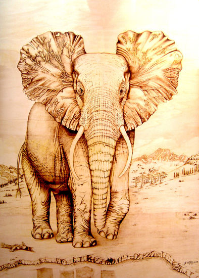 Elefante 