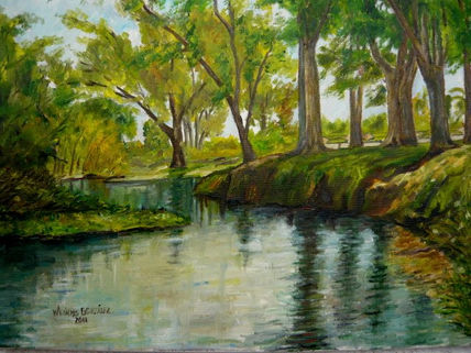 Arroyo laureles