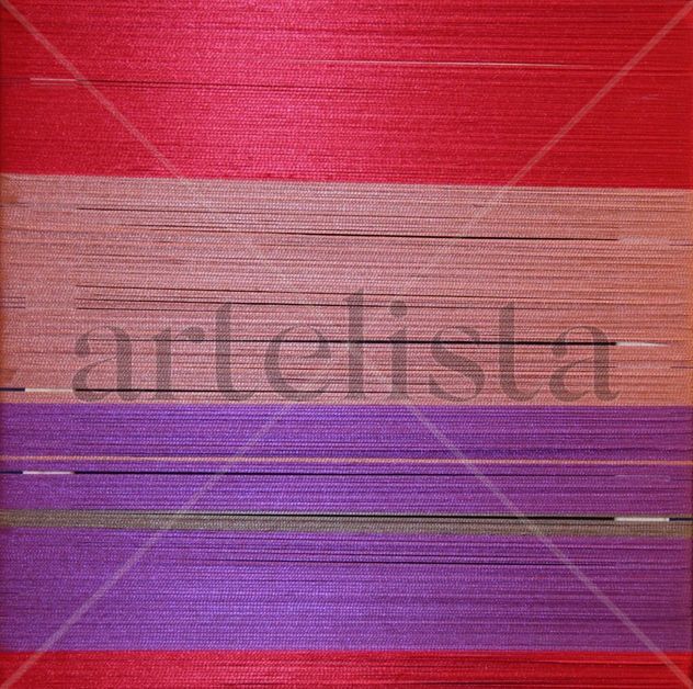 proyecto textil