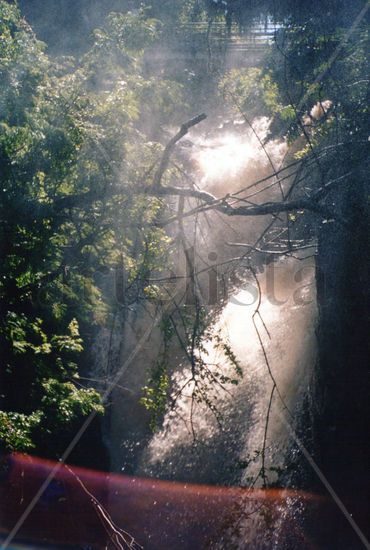 Cataratas desde la fronda Naturaleza Color (Química)