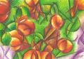 Arbol de mandarinas