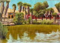 Vista de la huacachina