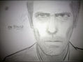 dr house