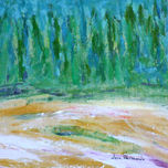 BOSQUES ORIGINARIOS thumbnail 2