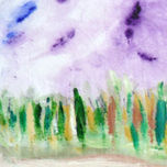 BOSQUES ORIGINARIOS thumbnail 1