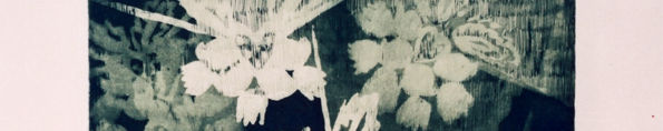 Imagen de portada